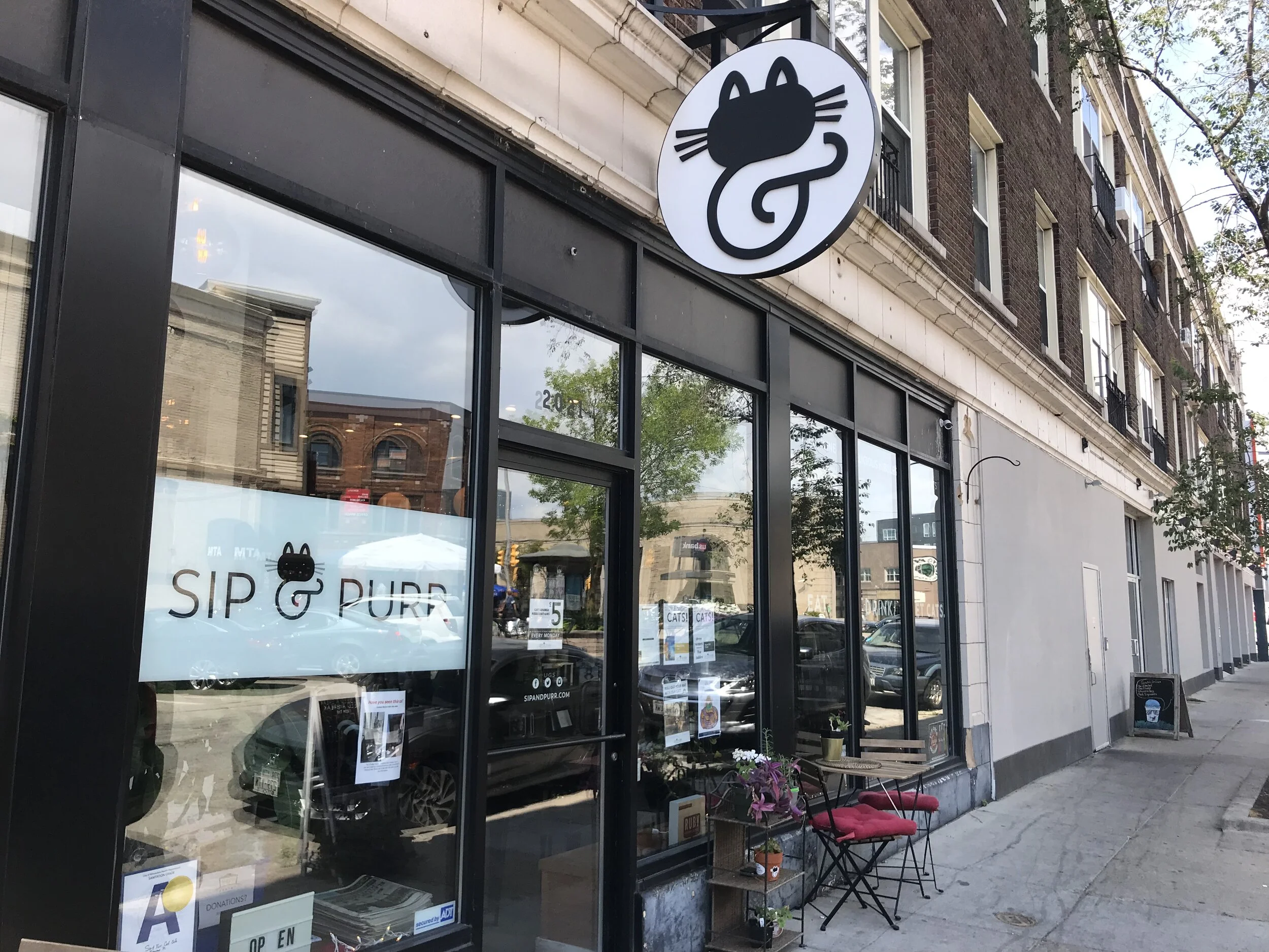 Sip and Purr Cat Cafe — The Neighbor's Cat